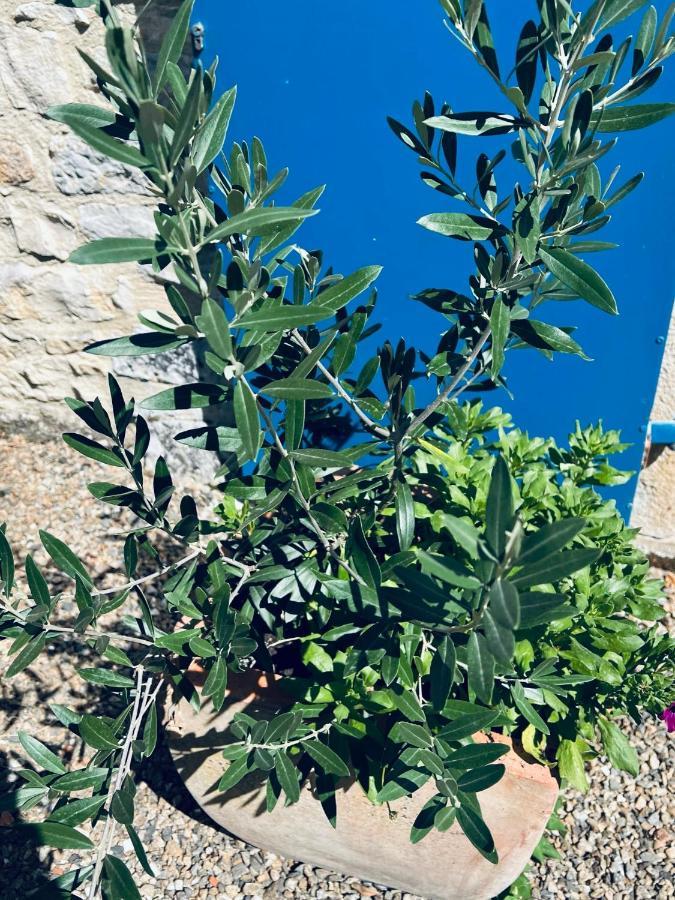 Lanzac Auberge Du Lion D'Or المظهر الخارجي الصورة